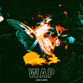 WAP lyrics | Boomplay Music