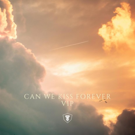 Can we kiss forever VIP ft. YOUNG AND BROKE, Swattrex VIP & Lofi By Swattrex | Boomplay Music