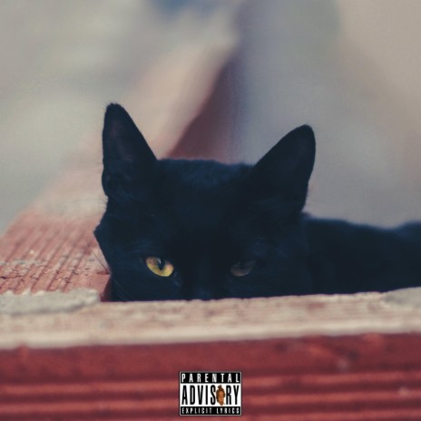 Black Cat (Pan di Fence Again) | Boomplay Music