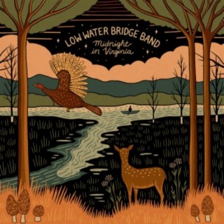 Low Water Bridge Band