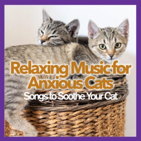 Anti Anxiety Therapy ft. Cat Music Hour & RelaxMyCat | Boomplay Music