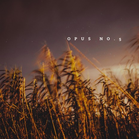 Opus no.5 | Boomplay Music