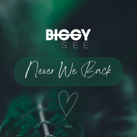 Never We Back | Boomplay Music