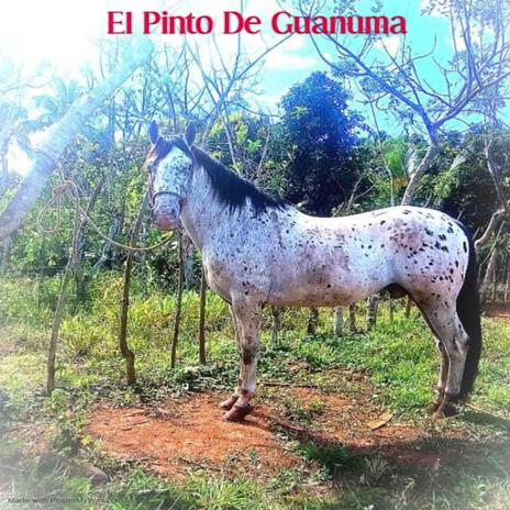 El Pinto De Guanuma