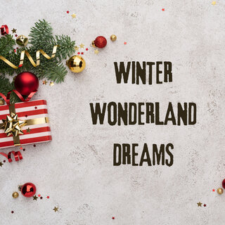 Winter Wonderland Dreams