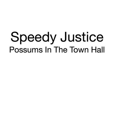 Possums In The Town Hall