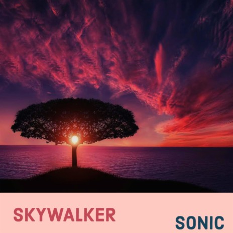 Skywalker | Boomplay Music