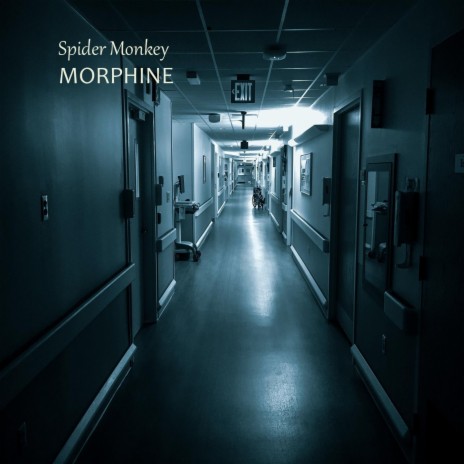 Morphine | Boomplay Music