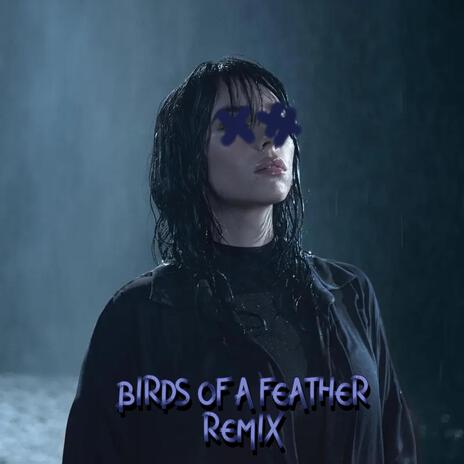 BIRDS OF A FEATHER (Remix) | Boomplay Music