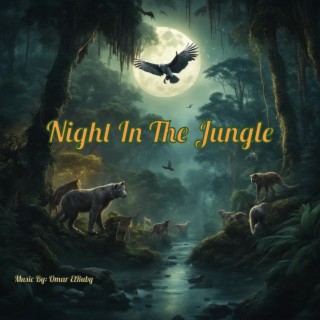 Night In The Jungle