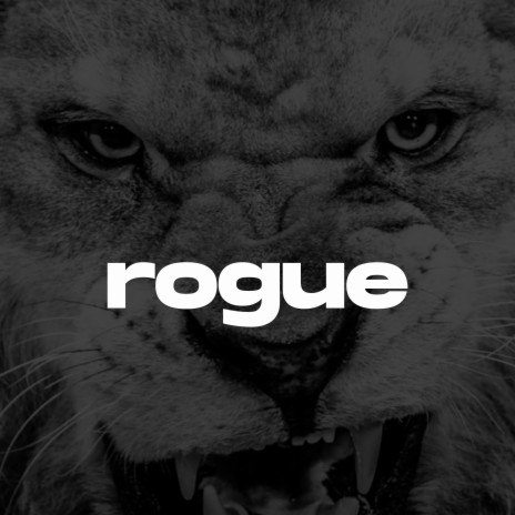 Rogue (Afro House Instrumental) | Boomplay Music