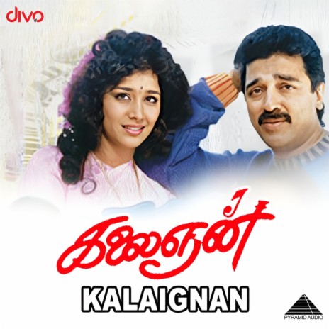 Dillu Baru Jaane ft. Ilaiyaraaja, Chithra & Vaali | Boomplay Music