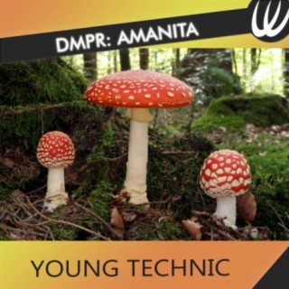 Amanita