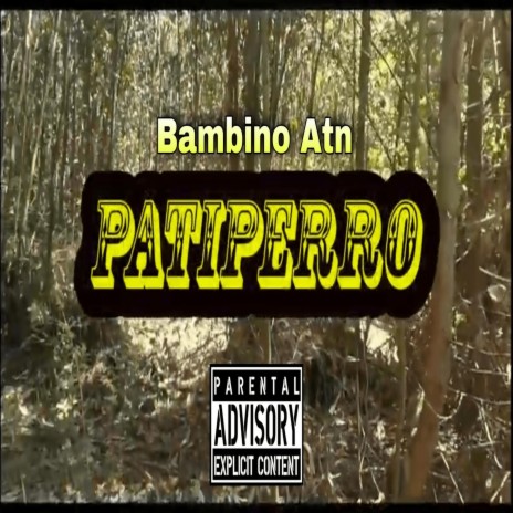 Patiperro | Boomplay Music