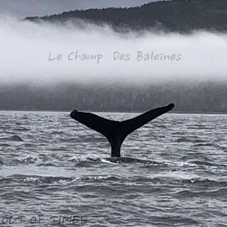 Le Champ Des Baleines