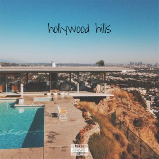 hollywood hills