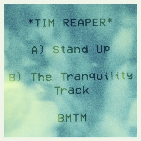 The Tranquility Track | Boomplay Music