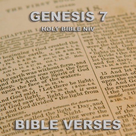 Holy Bible Niv Genesis 7 | Boomplay Music