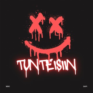 Tunteisiin ft. Sapi lyrics | Boomplay Music