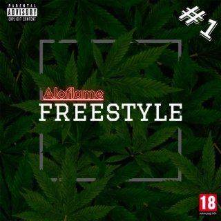 Freestyle#1