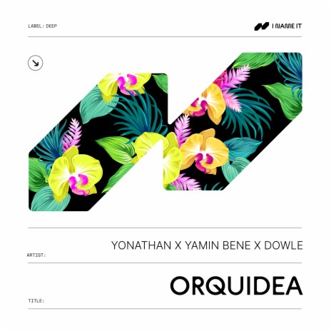 Orquidea ft. Yamin Bene & Dowle | Boomplay Music