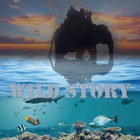 wild story ft. chafik wafai | Boomplay Music