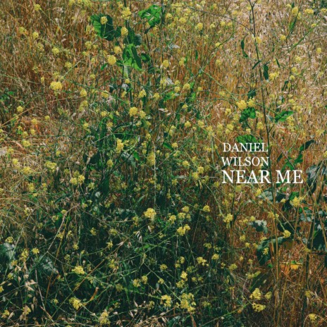 Near Me | Boomplay Music