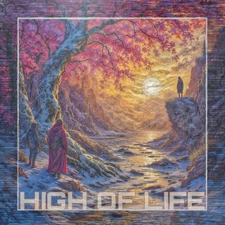 HIGH OF LIFE