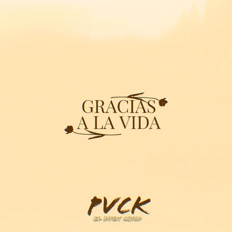 Gracias a la vida | Boomplay Music