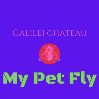 My Pet Fly