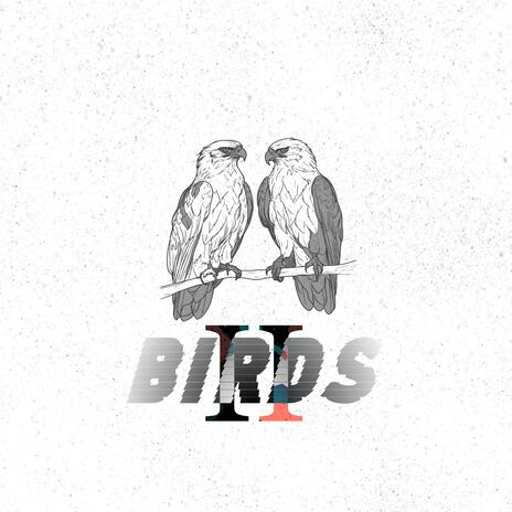 Birds II ft. Sizer | Boomplay Music