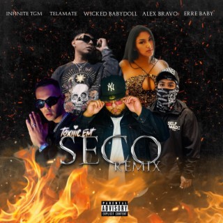 SECO (Remix)