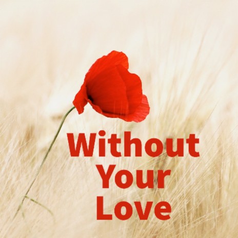 Without Your Love | Boomplay Music