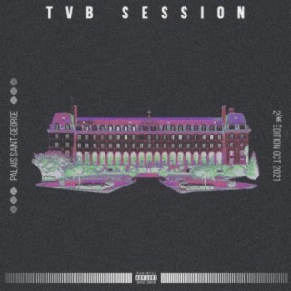 TVB Session 2