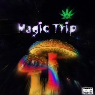 Magic Trip lyrics | Boomplay Music