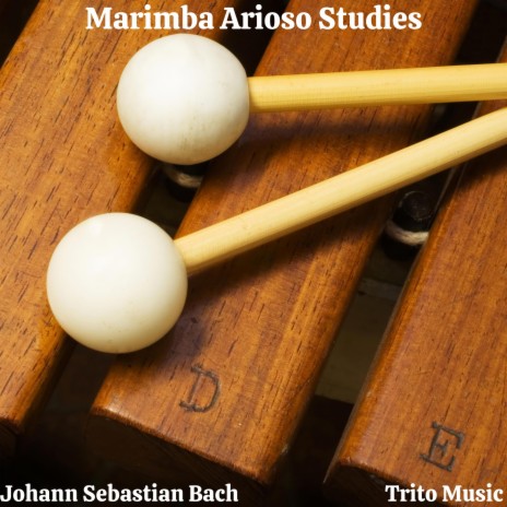 Arioso Marimba Study | Boomplay Music