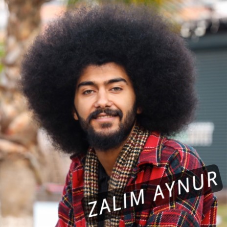 ZALIM AYNUR (Şexani - Delilo) | Boomplay Music