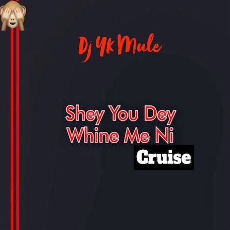 Shey You Dey Whine Me Ni | Boomplay Music