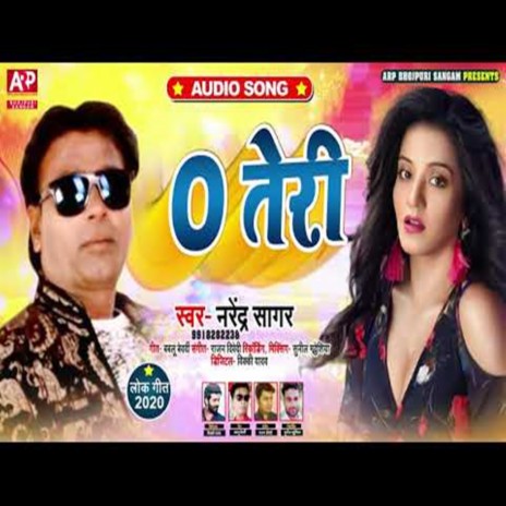 O Teri | Boomplay Music