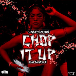 Chop It Up (Radio Edit) ft. Dj Carolina X lyrics | Boomplay Music