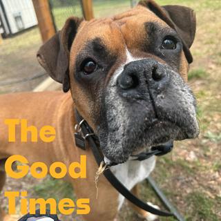 The Good Times lyrics | Boomplay Music