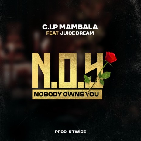 Nobody Owns You (N.O.Y.) ft. Juice Dream | Boomplay Music