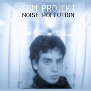 SGM Projekt: Noise Pollution