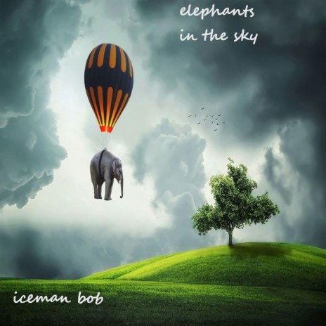 elephants in the sky