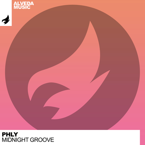 Midnight Groove (Radio Edit) | Boomplay Music