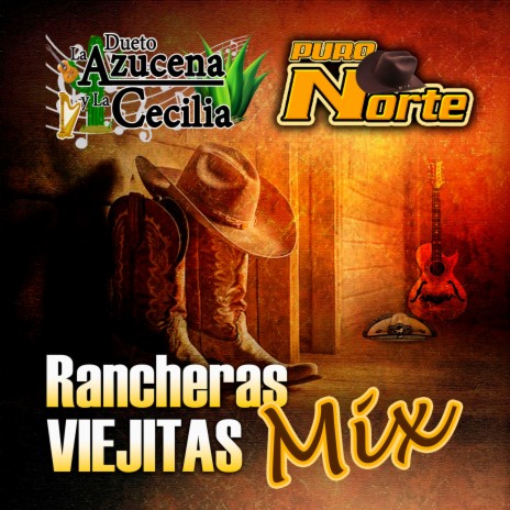 Sin Ti Compañera Mia (Norteño) | Boomplay Music