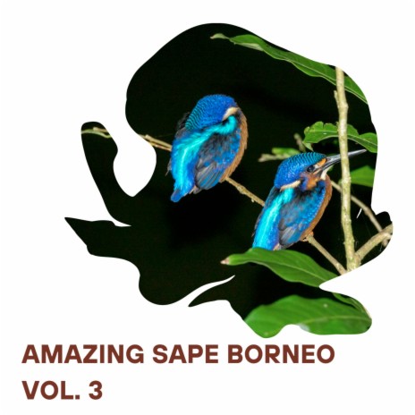 Amazing Sape Borneo, Vol. 3