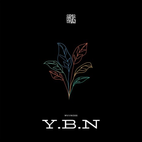y.b.n (young broke nigga) | Boomplay Music