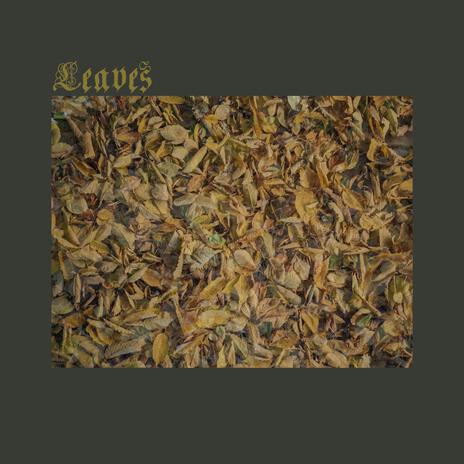 leaves (demo) | Boomplay Music