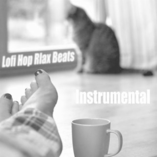 Lofi Hop Relax Beats- (Instrumental)